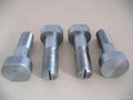 Tantalum screw