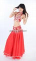 Belly dance costume  1