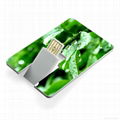 USB flash drive 1