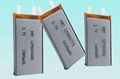 Li-Polymer Battery 1