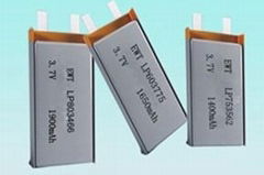 Li-Polymer Battery