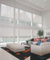 ROMAN BLINDS 3