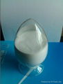 sodium bicarbonate 1