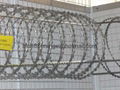 razor barbed wire 1