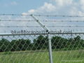 razor barbed wire 4