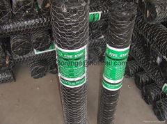 hexagonal wire netting