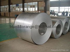 Galvanized Steel Coils/Sheets