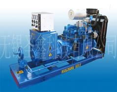 Natural Gas Generator