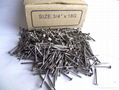 Fence Nail/Size:3/4"x18G/Professional Manufactor 1