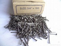 Fence Nail/Size:3/4"x18G/Professional Manufactor