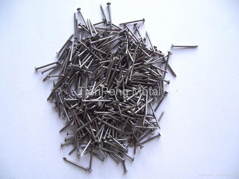 Fence Nail/Size:3/4"x18G/Professional Manufactor 2
