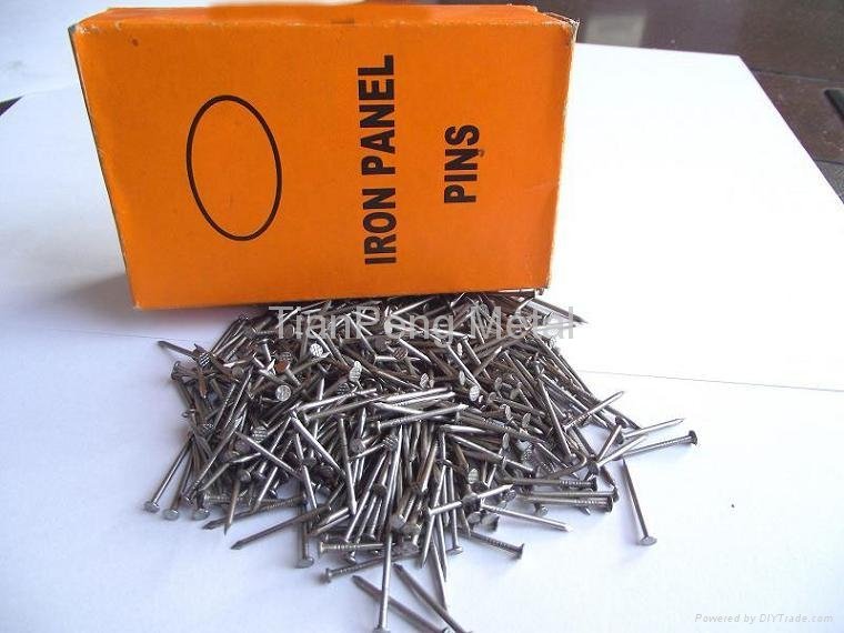 Fence Nail/Size:3/4"x18G/Professional Manufactor 3