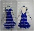 Newst Style Blue Feather Latin Dresses