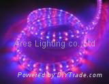 LED Rope Light