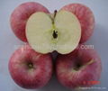 offer fresh red Fuji apple 1