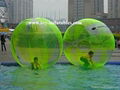 water walking ball 3