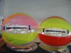 Colour water walking ball