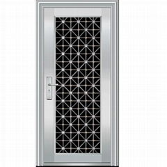 stainless steel door