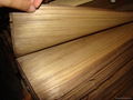 teak wood edgebanding 3