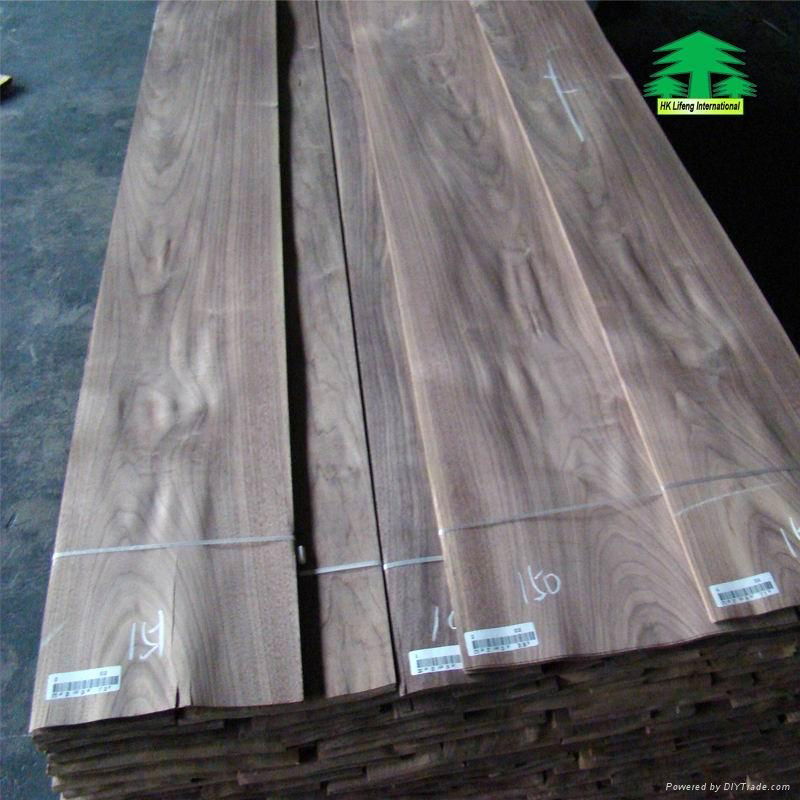 black walnut wood veneer 2