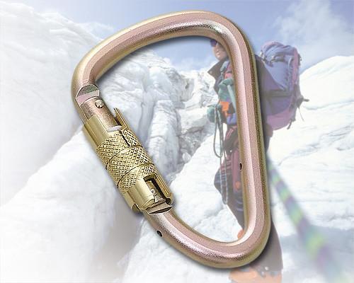 Carabiner 4