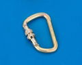 Auto Lock Carabiner 5