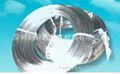 Stainless Steel Spring Wire 2