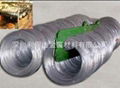 Nickel plated carbon spring steel wire 3