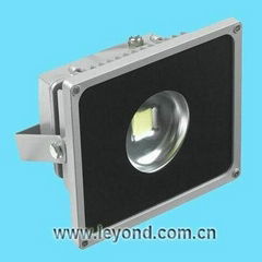 Focus led flood light 10w