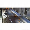 Heat resistant conveyor belt 1