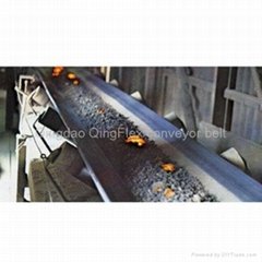 Heat resistant conveyor belt