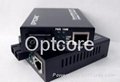 Gigabit Ethernet Media Converter  1