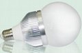 Global led bulb