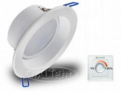 LED Downlight