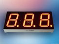 LED numeric display