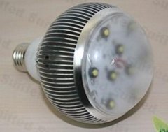 LED 3W High-power Bulb