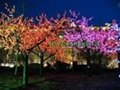 4m,5m,6m LED Landscape Tree Light 4