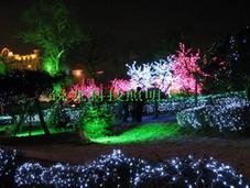 4m,5m,6m LED Landscape Tree Light 5
