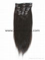 clip in hair extension