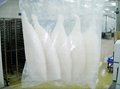 FROZEN SEAFOOD SQUID TUBE  5