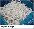 SEAFOOD FROZEN SQUID RING (SKYPE yatou21170) 2