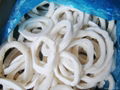 SEAFOOD FROZEN SQUID RING (SKYPE yatou21170) 4