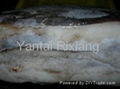 SEAFOOD GIANT SQUID FILLET SKIN-ON(SKYPE