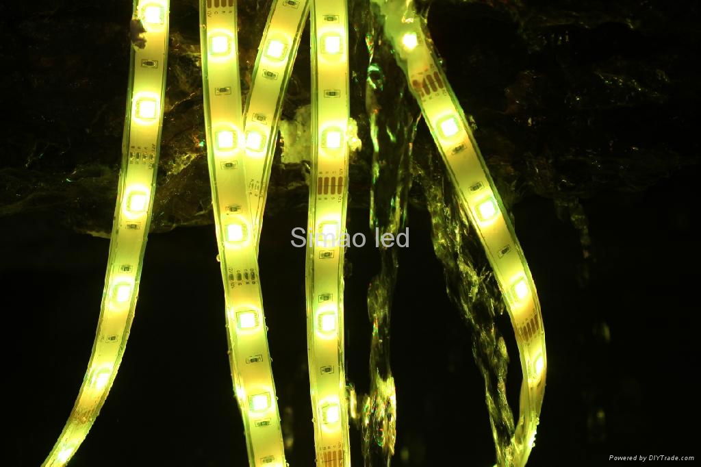 SMD 5050 LED strip lighting 2