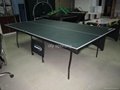 table tenis 1