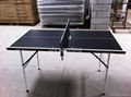 table tenis 4