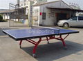 table tenis 5