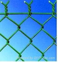 Diamond mesh(chain linkfencing)/pvc-coated or galvanized 