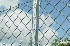 Diamond mesh(chain linkfencing)/pvc-coated or galvanized  2