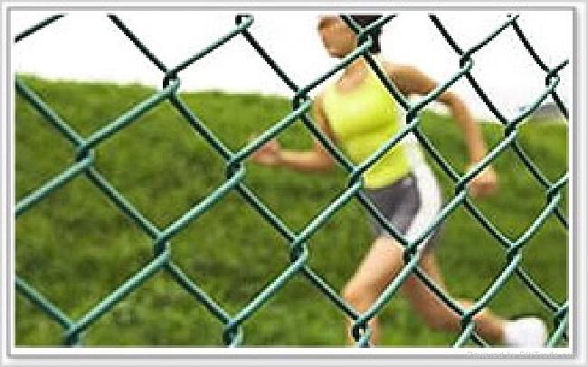 Diamond mesh(chain linkfencing)/pvc-coated or galvanized  5